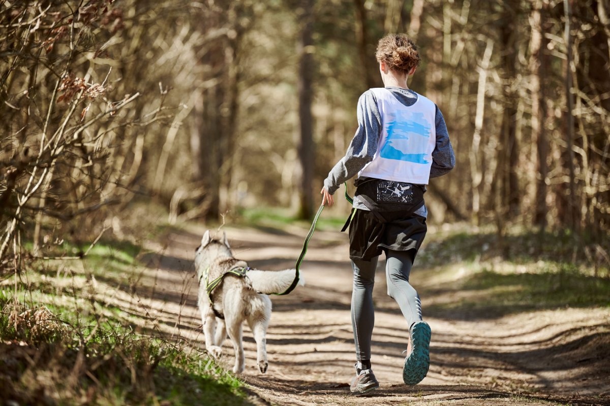 chien-court-canicross
