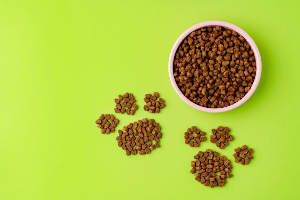 gamelle_avec_croquettes_vue_du_dessus_et_dessins_de_pattes_avec_des_croquettes