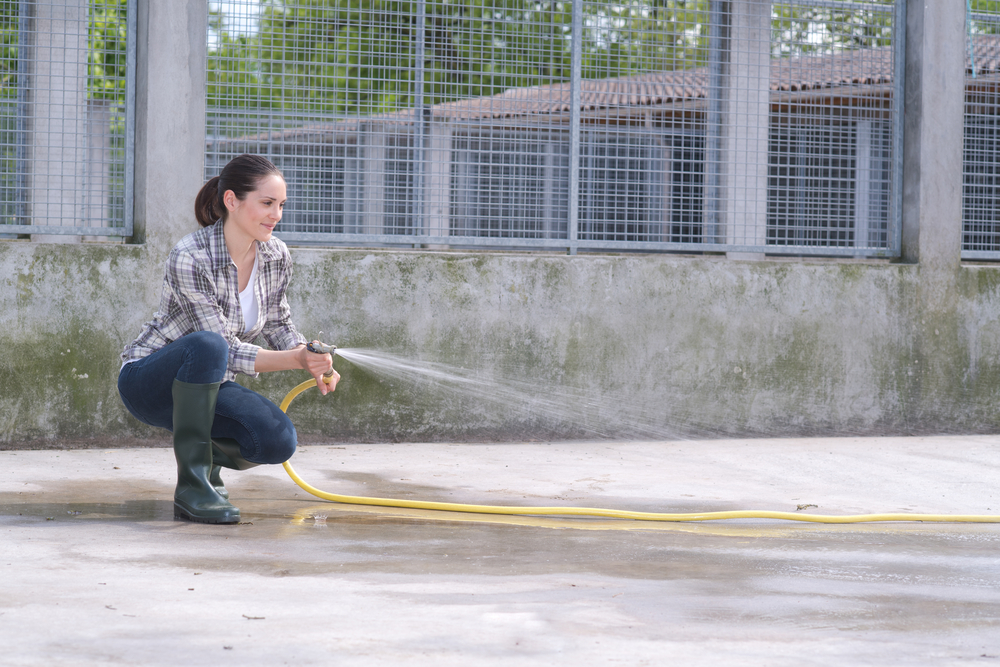 hygiène pension pour chien