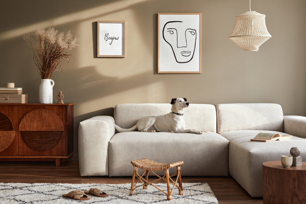 pension de luxe chien