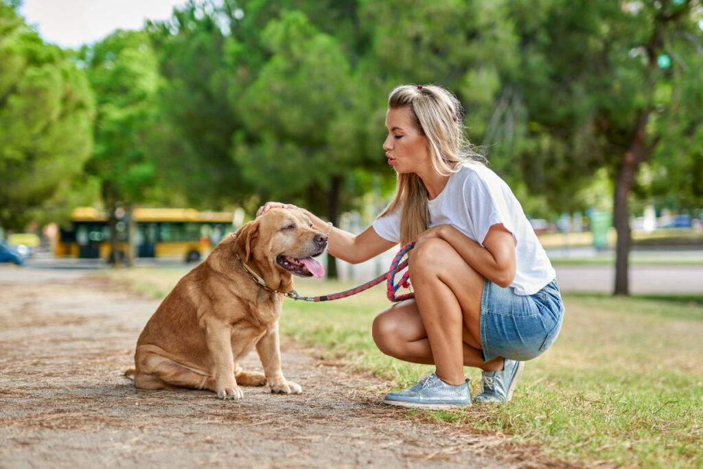 Chien assis et caressé par sa propriétaire accroupie face à lui