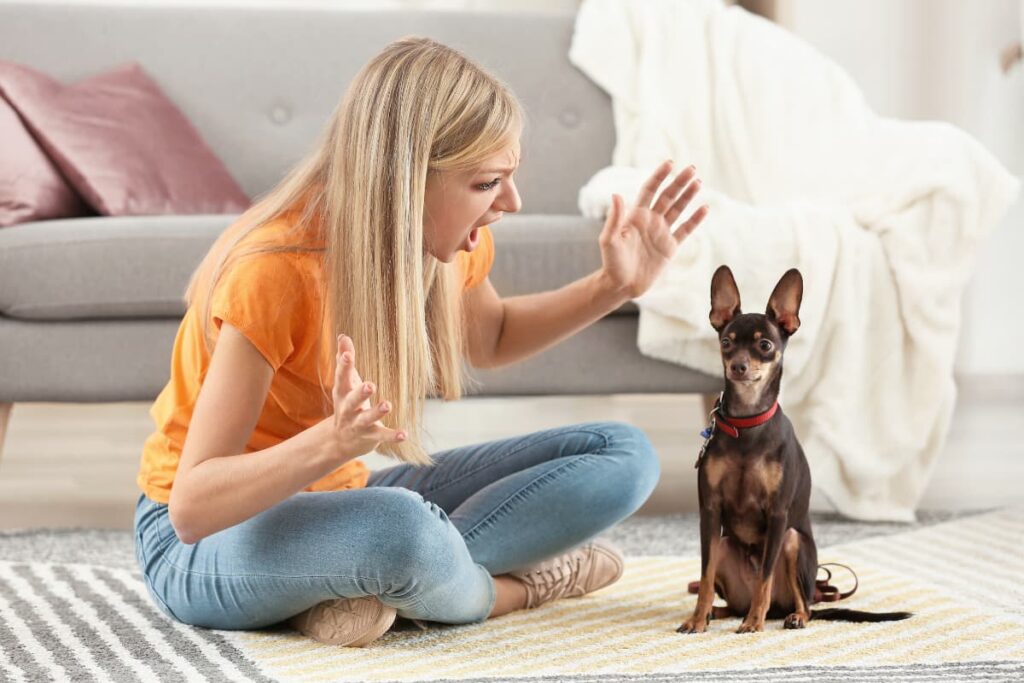Une femme assise sur un tapis avec son chien le dispute en faisant de grands gestes avec ses mains.