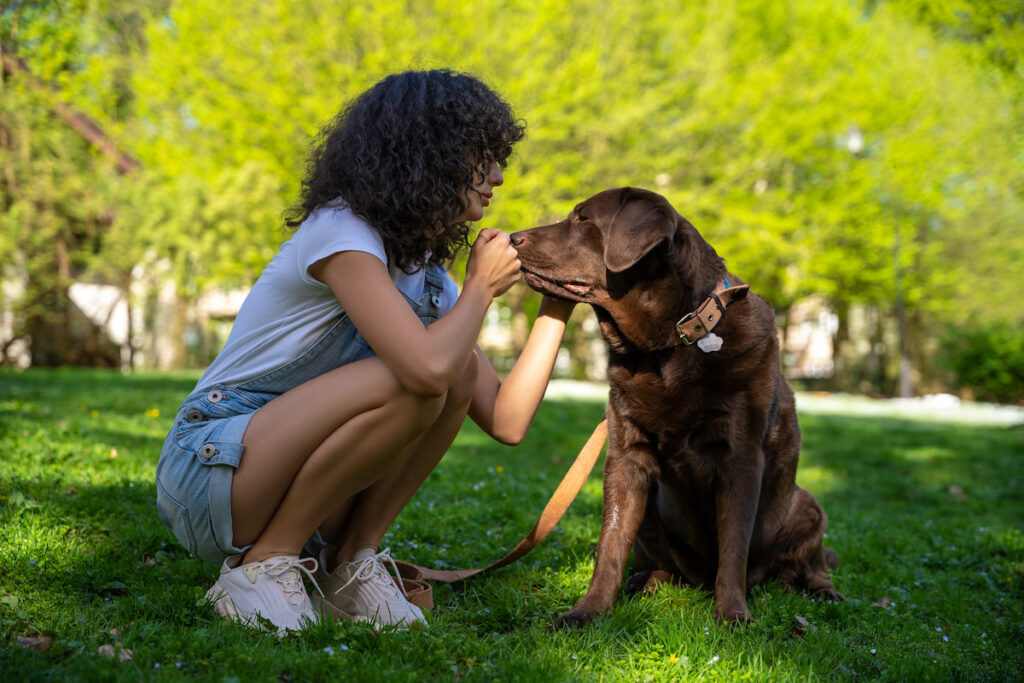 Une femme accroupie dans l'herbe avec son chien labrador. Il se regarde mutuellement, preuve d'un moment d'amour.
