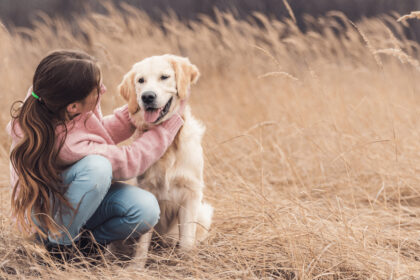 Une jeune fille est assise dans un champ de blé avec un jeune chien golden retriever qu'elle prend par le cou en le regardant comme pour lui parler